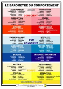 Les techniques d'équilibration en Kinésiologie : le baromètre du comportement