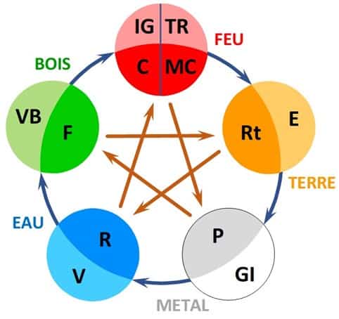 La loi des 5 Eléments : l'une des bases de l'Energétique Chinoise
